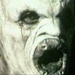 Meet your Posher, Tylor